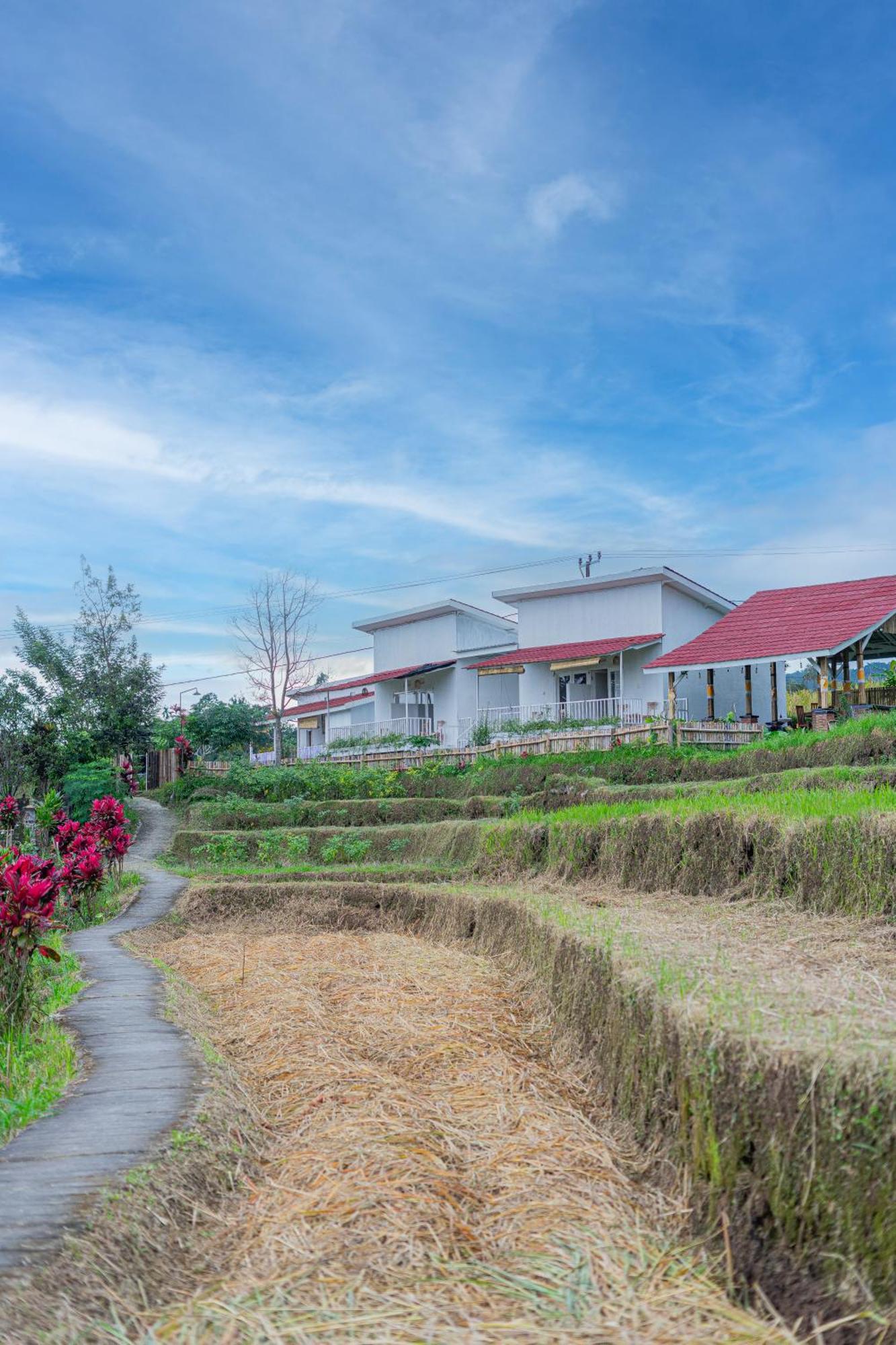 Santya Loka Lodge & Twin Waterfall Jatiluwih Εξωτερικό φωτογραφία