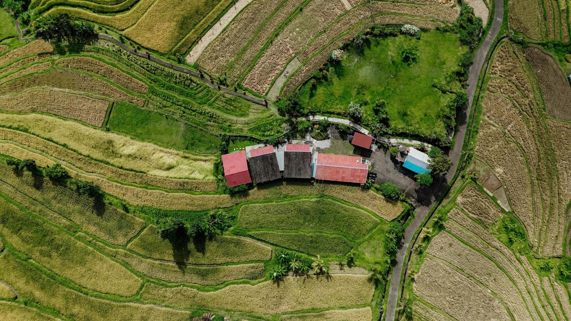 Santya Loka Lodge & Twin Waterfall Jatiluwih Εξωτερικό φωτογραφία