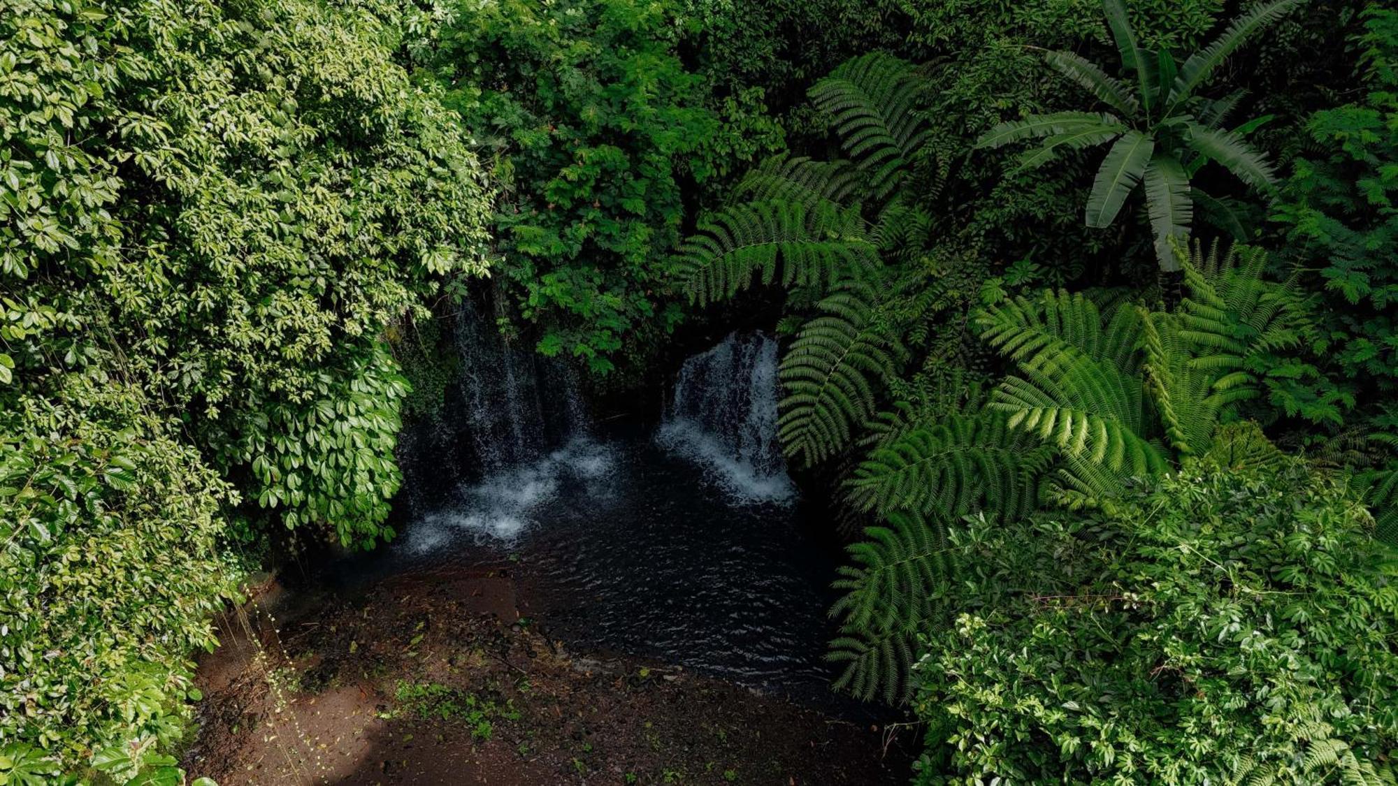 Santya Loka Lodge & Twin Waterfall Jatiluwih Εξωτερικό φωτογραφία