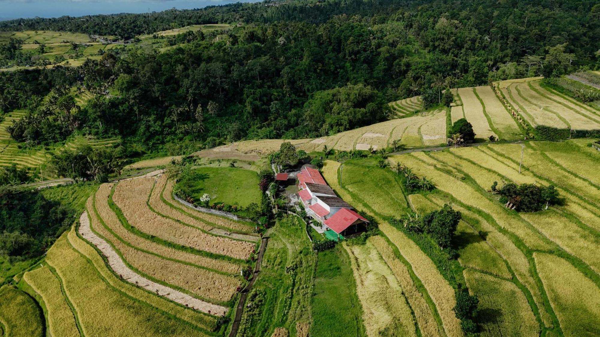Santya Loka Lodge & Twin Waterfall Jatiluwih Εξωτερικό φωτογραφία