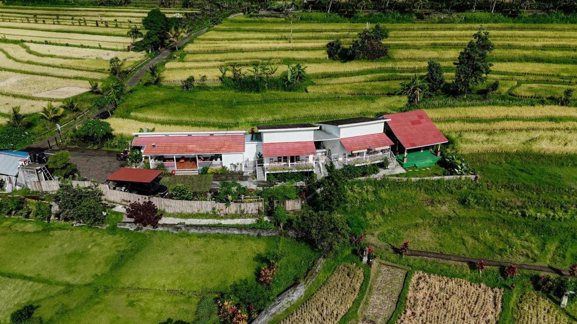 Santya Loka Lodge & Twin Waterfall Jatiluwih Εξωτερικό φωτογραφία